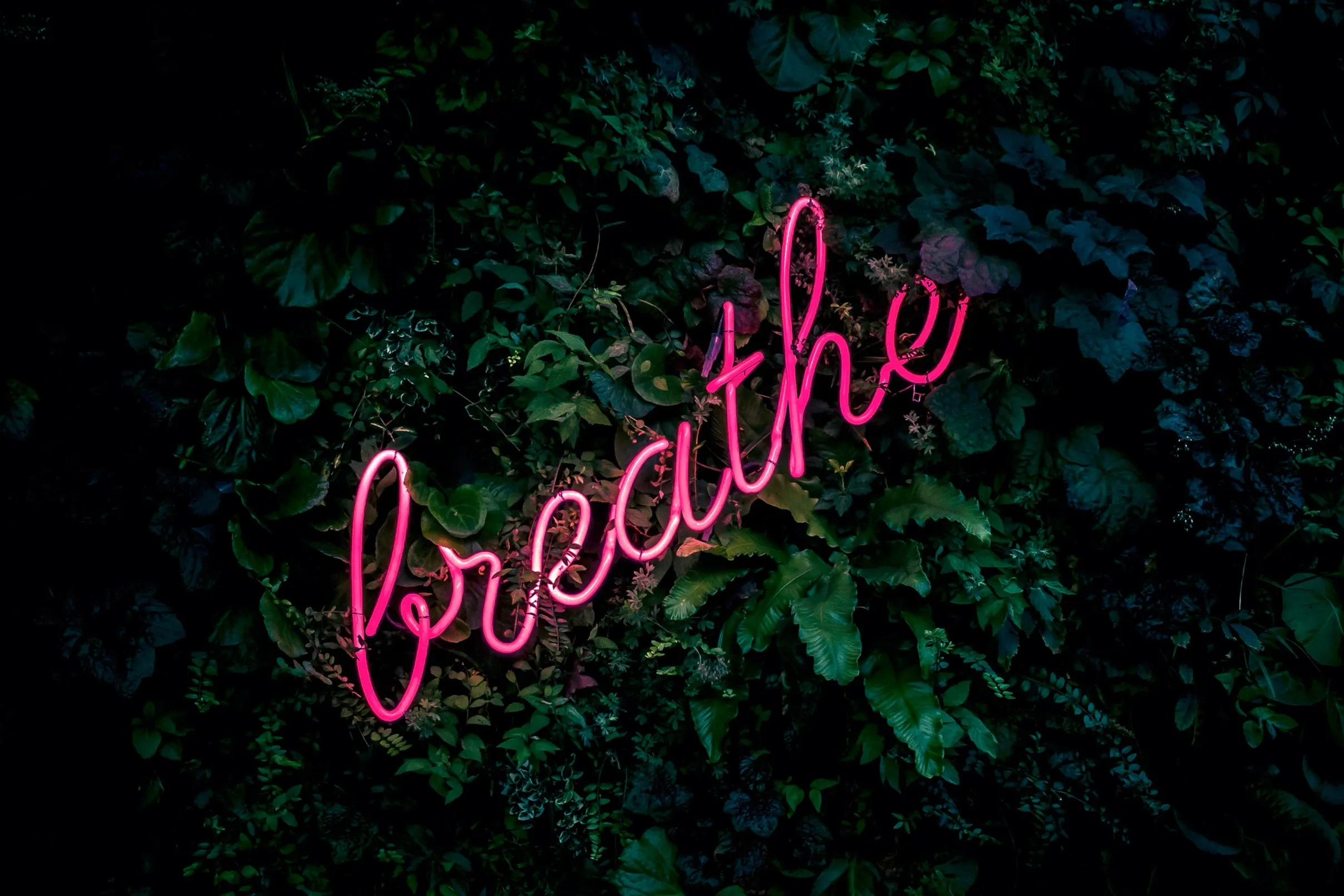 breathe word